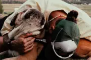 Lewis Hamilton's Heartfelt Tribute to Beloved Bulldog Roscoe Touches Fans Worldwide