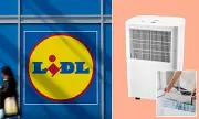 Lidl's Budget Dehumidifier Drops to Half Price - The Secret to Faster Drying Laundry Revealed