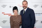 Lily Allen's Hinge Horror: Singer Reveals Cringe-Worthy Date with Stranger Things Star David Harbour