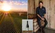 Margaret River Shiraz Crowned Australia's Finest Red Wine in Surprising Victory