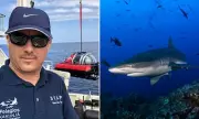 Marine Biologist's Miracle: Survives 9ft Shark Attack in Costa Rican Waters