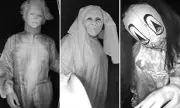 Masked Teen Pranksters Terrorise Virginia Neighbourhood in Sinister Doorbell Ringing Spree
