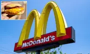 McDonald's Egg McMuffin Price Shock: How a Breakfast Staple Became a Financial Burden