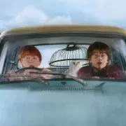 Mind-Blowing Revelation: The One Thing You Never Knew About Your Own Body