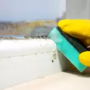 Miracle Mould Solution: £1.50 Household Item Banishes Damp Instantly