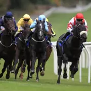 Monday's Racing Gems: NAP of the Day Set to Shine at Windsor