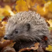 Monty Don's Garden Revolution: Why This Simple Household Item Is Transforming British Gardens