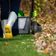 Monty Don's Urgent July Gardening Warning: The One Job You Must Do Now