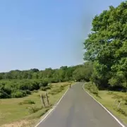 New Forest Double Tragedy: Two Bodies Found in National Park Mystery