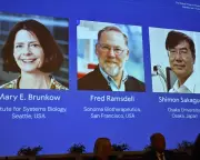 Nobel Prize in Medicine Awarded for Groundbreaking Immune System Discovery