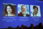 Nobel Prize in Medicine Awarded to Pioneers of Immune System Research