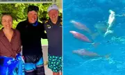 Pacific Paradise: Anthony Albanese's Romantic Palau Getaway with Partner Jodie Haydon Raises Eyebrows