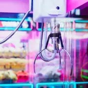 Paws-itively Determined: Clever Dog's Hilarious Arcade Machine Attempt Goes Viral