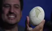 Perfectly Preserved Dinosaur Egg Discovered in Argentina Reveals 70 Million-Year-Old Embryo