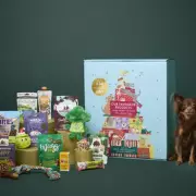 Pets at Home Slashes Prices on Must-Have 30kg Dog Food Bags in Limited Restock