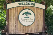 Pittsburgh Zoo Faces Criminal Charges After Influencer's Dangerous Enclosure Stunt