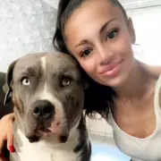 Police Marksman Halts Rampaging Bull in Dramatic London Street Chase