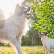 Police Reveal: The One Thing You Should NEVER Do When Pulled Over