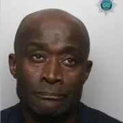 Portsmouth Cruise Terror: Giant Jellyfish Invasion Suffocates City's Waters