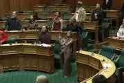 Powerful Haka Echoes Through New Zealand Parliament in Unprecedented Protest