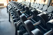 Pump Iron, Boost Your Gut: How Weight Training Transforms Your Microbiome