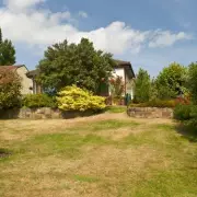 Red Thread Lawn Disease: The Autumn Menace Threatening Your Perfect Grass