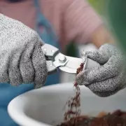 Revolutionary Lawn Hack: How to Achieve a Dark Green Carpet-Like Lawn That Grows Slower