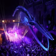 Roar Into 2025: How Your Chinese Zodiac Animal Predicts Your Ultimate New Year's Party Style