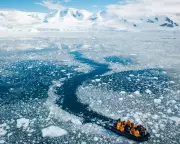 Russia Detains Ukrainian Biologist on Treason Charges Over Antarctic Krill Research