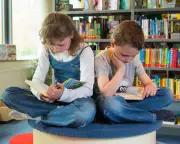 School Library Crisis: Who Will Save Our Children's Reading Havens?