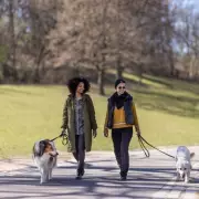 Scientists Reveal The Perfect Daily Walk Distance To Slash Disease Risk