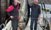 Scottish Tuna Fishermen Face Monster Catch: 'We Need a Bigger Boat!'