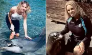 Sea World Trainer Sues Over Alleged Shark Tank Ordeal at Gold Coast Theme Park