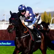 Sean Bowen Smashes McCoy's Record in Stunning Cheltenham Triumph