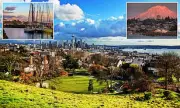 Seattle Crowned America's Most Beautiful City in Surprising Reddit Verdict