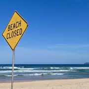 Shark Horror at Tourist Beach: Swimmer Loses Leg in Vicious Attack