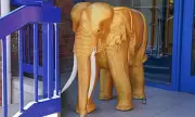 Sheffield Wednesday Owner's Golden Elephant Statues Go Under the Hammer in Bizarre Club Auction
