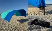 Shibumi Shade Review: Is This Revolutionary Beach Canopy Worth The Investment?