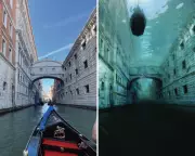 Shocking Before-and-After Images Reveal How Our Tech Addiction Is Destroying the Planet