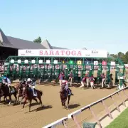 Shocking Video Exposes Horse Abuse at Saratoga Racecourse - Handler Suspended