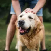 Silent Killer in Your Kitchen: Popular Herb Sends Beloved Family Pet to Emergency Vet