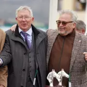Sir Alex Ferguson's Cheltenham Dream: Football Legend Teams Up With Racing's Finest