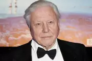 Sir David Attenborough Makes Emmy History at 98 With Prestigious Award