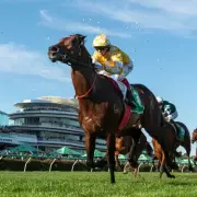 Sir Delius's Melbourne Cup Dream Dashed: Waterhouse's Heartbreaking Scratch After Training Setback