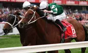 Sistina's Stunning Cox Plate Triumph: McDonald Enters Record Books with Moonee Valley Masterclass