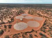 SKA Observatory Whistleblower Resigns in Protest After Inquiry Clears Facility of Wrongdoing