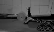 Snakes Strike With Chilling Precision: Terrifying Slow-Motion Footage Reveals Predators' Lightning Attack Strategy