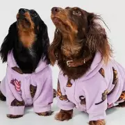 Snuggle Up! This Cosy £29 Dog Hoodie Is The Perfect Winter Essential For Your Pup