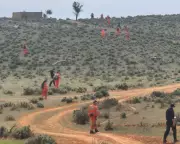 South Australian Outback Search: Race Against Time for Missing Four-Year-Old Gus