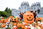 Spooktacular UK Halloween Events 2025: Your Ultimate Guide to Ghostly Gatherings